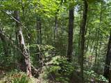 Lot 1302 Balsam Circle - Photo 2
