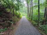 0 Rivendell Lane - Photo 4