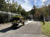 4229 Parkway #207 - Photo 4