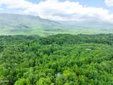617 Almost Heaven Way - Photo 40