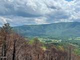2518 Hatcher Mountain Road - Photo 10