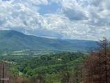 2518 Hatcher Mountain Road - Photo 11
