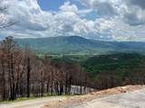 2518 Hatcher Mountain Road - Photo 16