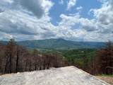 2518 Hatcher Mountain Road - Photo 17