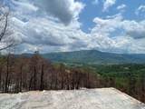 2518 Hatcher Mountain Road - Photo 18