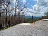 2518 Hatcher Mountain Road - Photo 2