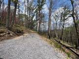 2518 Hatcher Mountain Road - Photo 4