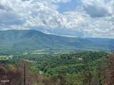 2518 Hatcher Mountain Road - Photo 8