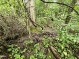 Lot 1 Timber Lake Drive - Photo 2