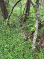 Lot 1 Timber Lake Drive - Photo 3