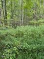 Lot 1 Timber Lake Drive - Photo 6