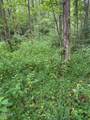 Lot 1 Timber Lake Drive - Photo 7