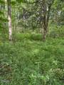 Lot 2 Timber Lake Drive - Photo 2