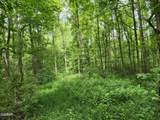 Lot 2 Timber Lake Drive - Photo 7