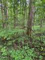 Lot 2 Timber Lake Drive - Photo 8