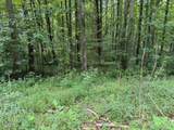 Lot 2 Timber Lake Drive - Photo 9