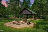 2746 Cedar Falls Way - Photo 70