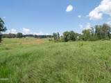Tract 2 Hutton Ridge Road - Photo 10