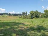 Tract 2 Hutton Ridge Road - Photo 11