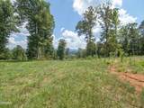 Tract 2 Hutton Ridge Road - Photo 14
