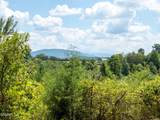 Tract 2 Hutton Ridge Road - Photo 17