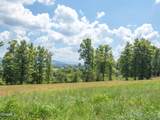 Tract 2 Hutton Ridge Road - Photo 19