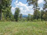 Tract 2 Hutton Ridge Road - Photo 20