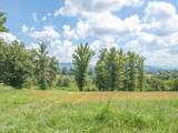 Tract 2 Hutton Ridge Road - Photo 22