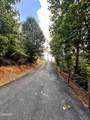 1625 Bluff Ridge Road - Photo 39