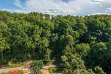 Lot 12 Overholt Trail - Photo 4