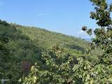 2251 Upper Middle Creek Road - Photo 6