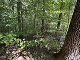 Lot 6 Saddle Brook Way - Photo 2