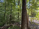 Lot 6 Saddle Brook Way - Photo 8