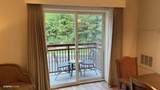 212 Dollywood Ln U-420 - Photo 14