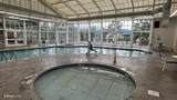 212 Dollywood Ln U-420 - Photo 41