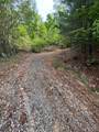Lot 180E Jones Creek Lane - Photo 4