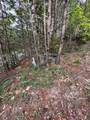 Lot 180E Jones Creek Lane - Photo 5