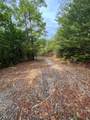 Lot 180E Jones Creek Lane - Photo 7