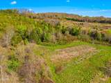 Tract 1 Dumplin Valley Road - Photo 11