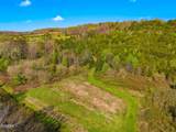 Tract 1 Dumplin Valley Road - Photo 15