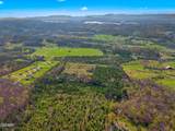 Tract 1 Dumplin Valley Road - Photo 19