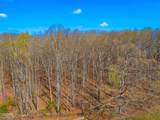 Tract 1 Dumplin Valley Road - Photo 7