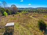Tract 1 Dumplin Valley Road - Photo 9