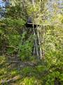 2534 Muddy Hollow - Photo 21