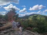 971 Critter Mountain Way - Photo 54