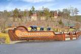 2034 Bear Haven Way - Photo 32