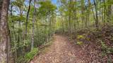 Lot 2 Cedar Hills Road - Photo 12