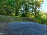 1020 Pine Top Lane - Photo 3