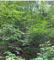 Lot 331 Ridgefield Drive - Photo 4