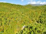 620 Bug Branch Road - Photo 40